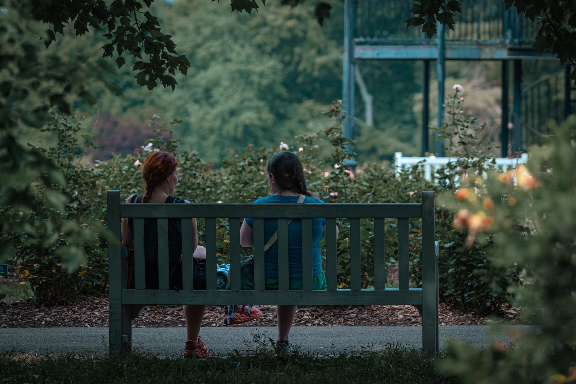 Two women sit side by side on a wooden park bench among rose bushes, talking
